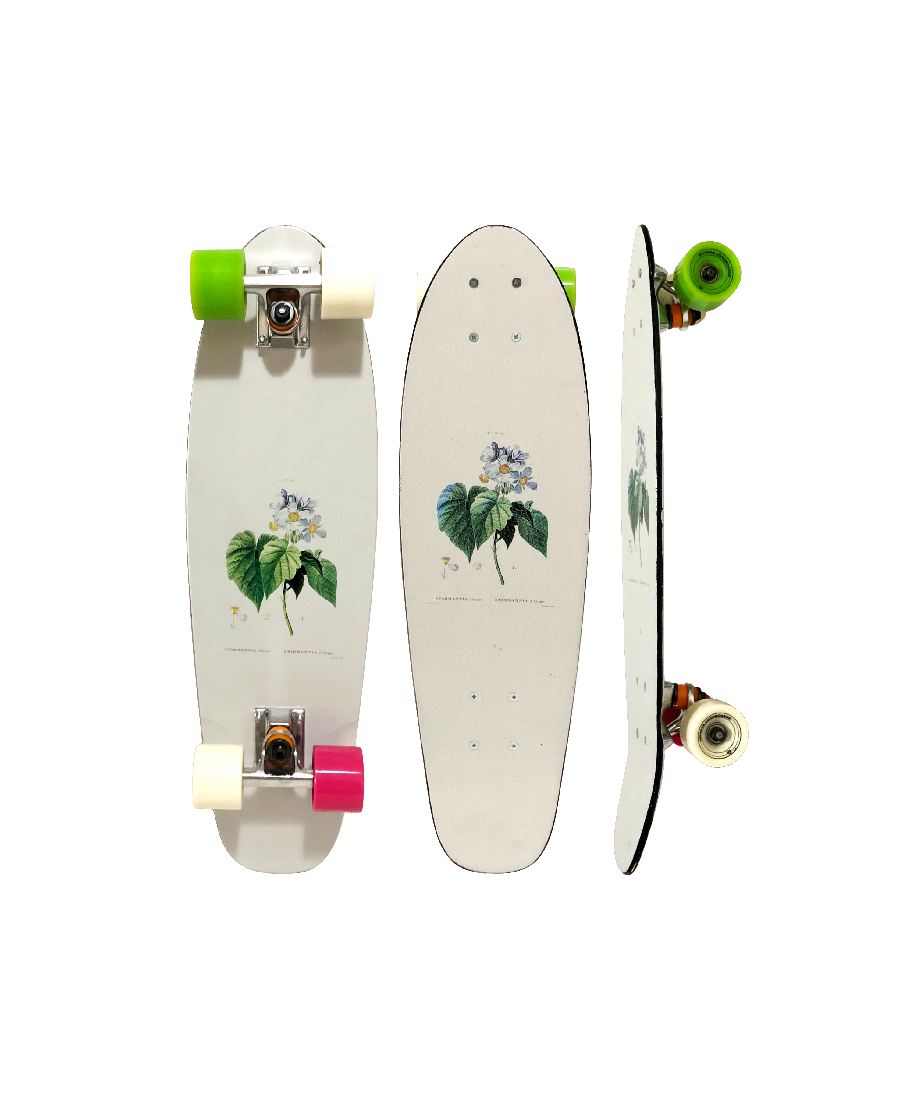 Cruiser Hondar Flora - Imagem 2