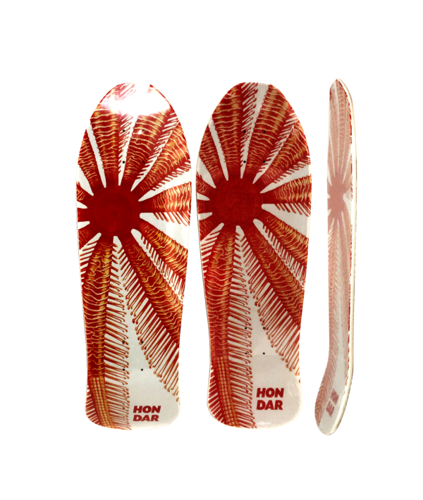 Shape Semi Long Hondar Palmeira 10x33" com lixa - Imagem 2